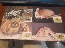 Cartes postales animaux sauvages avec timbres, lot de 4!