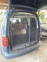 Hundgitter / Heckgitter / Hundebox für VW Caddy