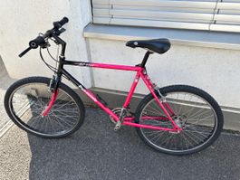 Panasonic mc 5500 Mountainbike