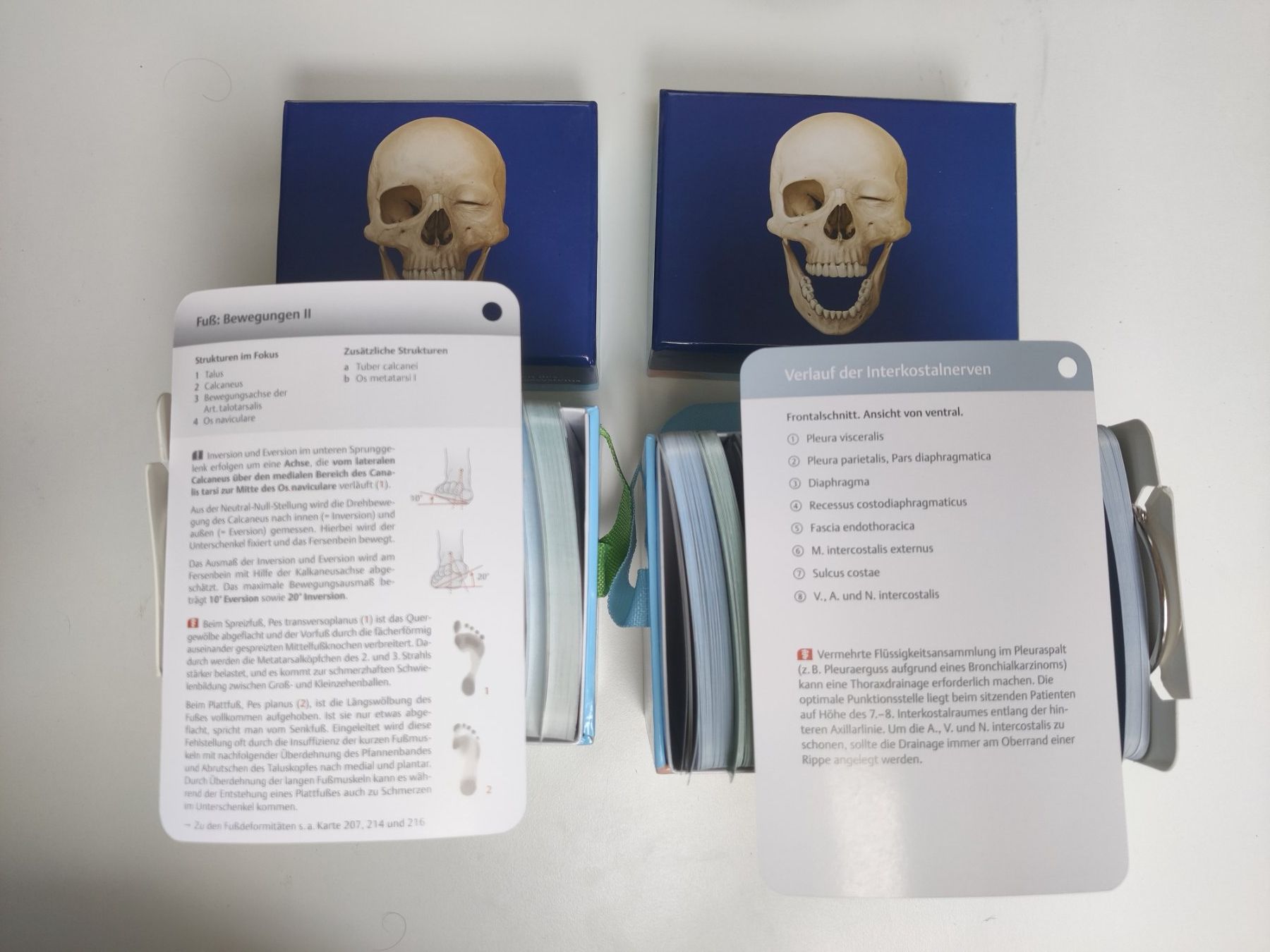 Altro materiale scolastico: Prometheus Lernkarten Anatomie Set 2-teilig – Usato da Zürich venduto da mft_xrc5 3