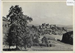 Regensberg von der alten Linde aus