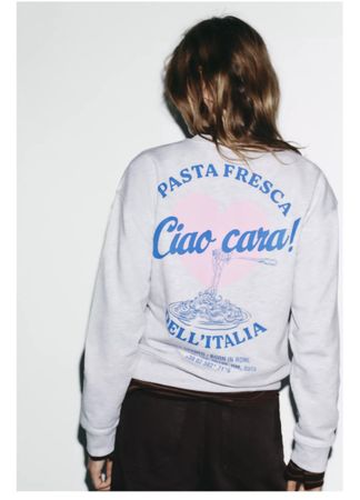 Zara sweatshirt