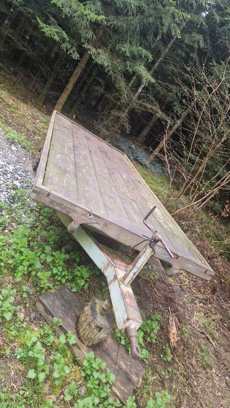 Anhänger: GRATIS Flachwagen Thurgau – Gebraucht aus Bottighofen von Zwanzgerli 3