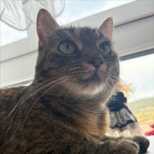Profile image of yas_njl8