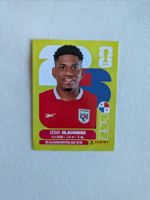 Panini Bild PAN 9