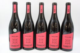 5x Obrecht Pinot Noir Trocla Nera/ NP 195,00 CHF (26062662Z)