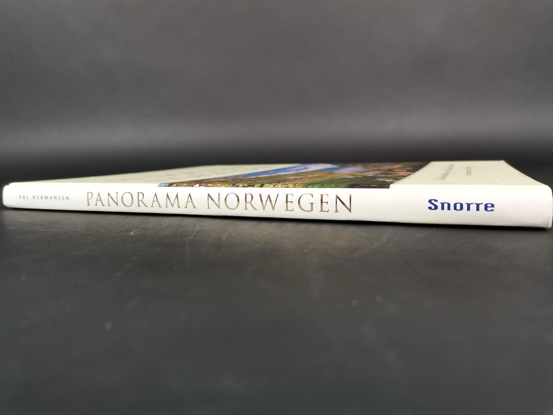 Libri: BUCH Panorama Norwegen – Usato da Schaffhausen venduto da Restwert_SH 2