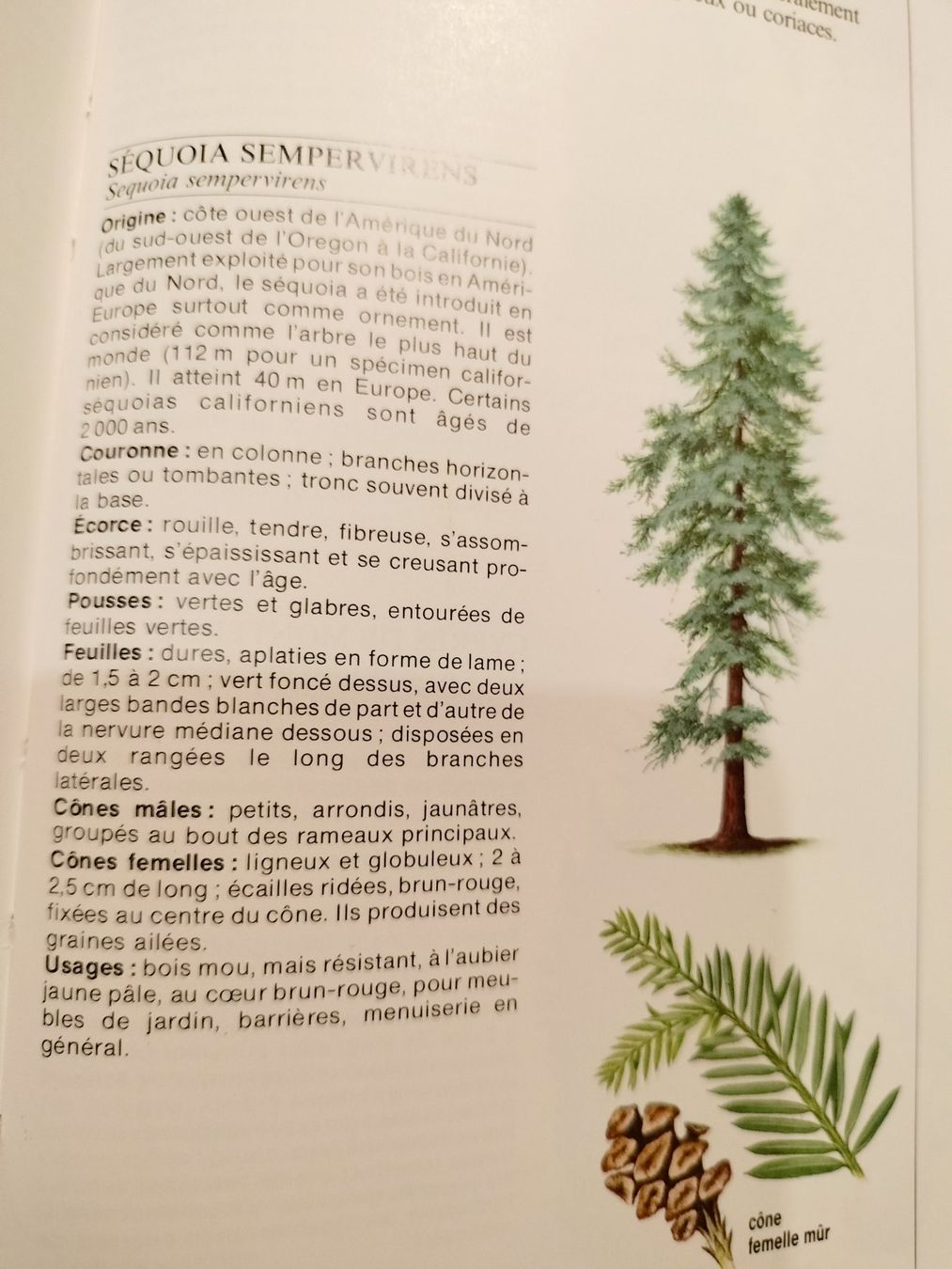 Libri: La vie des plantes – Usato da Cortaillod venduto da rozinna 7