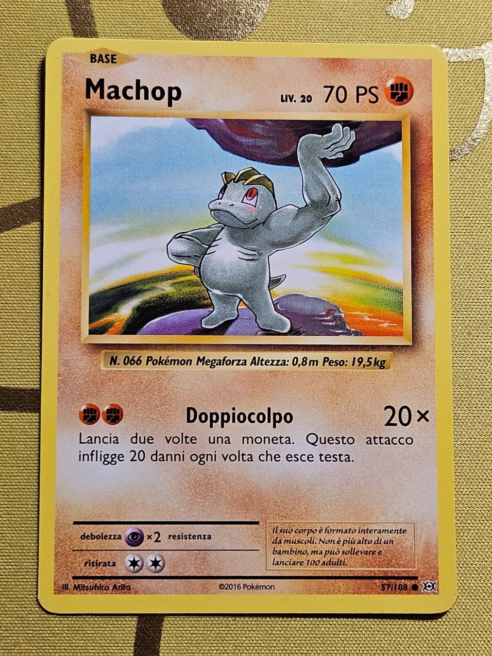Pokémon Carte collezionabili: Evolutions - Machop 57/108 IT – Usato da Bellinzona venduto da Pokemarco