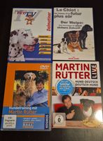 Hundeerziehung DVDs: Martin Rütter, Dalmatiner, Le Chiot