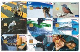 9 Taxcards