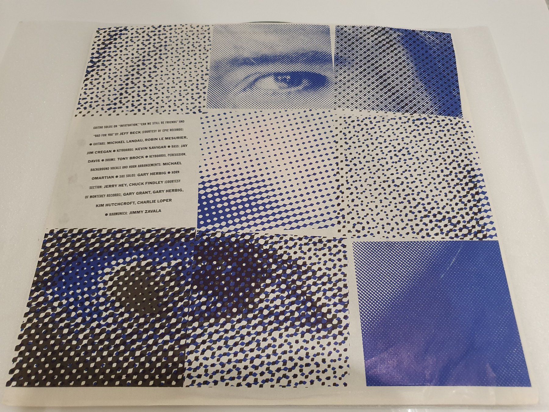 Dischi in vinile: Rod Stewart – Camouflage – Usato da Uster venduto da Vinyl-Leidenschaft 2