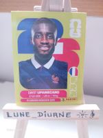 Stickers World Cup 2026 Panini Dayot Upamecano FRA7