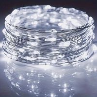 5m LED Lichterkette weiss für Weihnachten USB