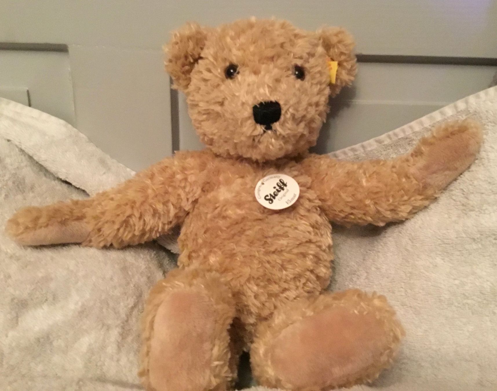 Steiff Giocattoli: Steiff Teddy Elmar NEU – Nuovo (secondo la descrizione) da Wettswil venduto da ann_hd9g 1