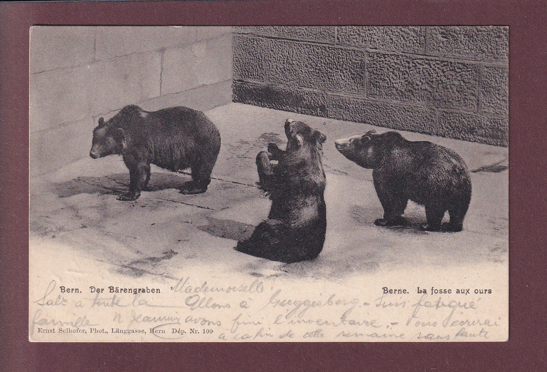 Cartoline postali: BERN - Bärengraben - 1905 – Usato da Pully venduto da nicecards
