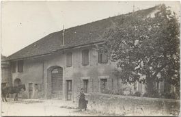 LANDWIRTSCHAFT/PFERD 1925 AG?