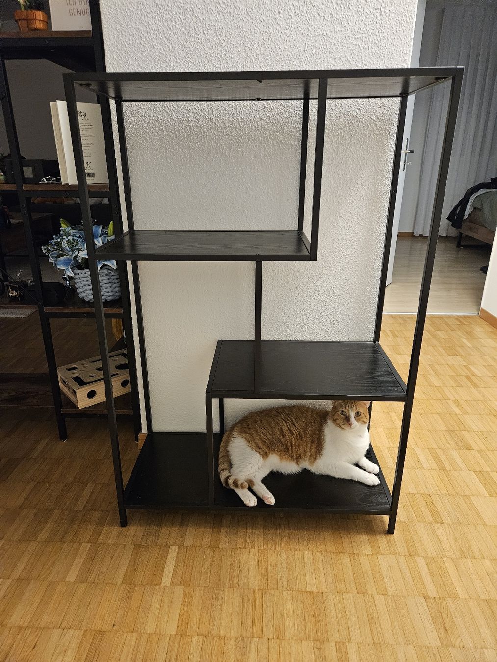 Regale: Regal Coogee VII – Gebraucht aus Volketswil von Alija.M