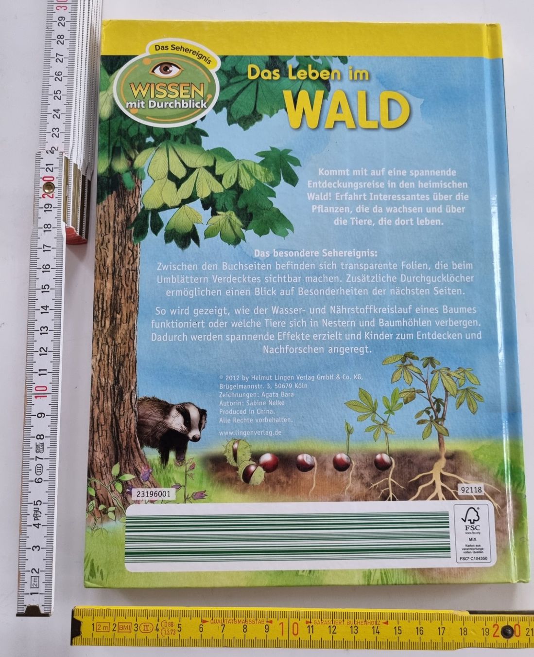 Libri: Wunderschönes, Wissen mit Durchblick: Das Leben im Wald – Usato da Opfikon venduto da Diversamente 1