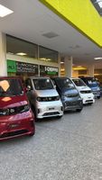 SCHWEIZER TYPENPRÜFUNG! Seniorenmobil 20 kmh NEU mit garanti