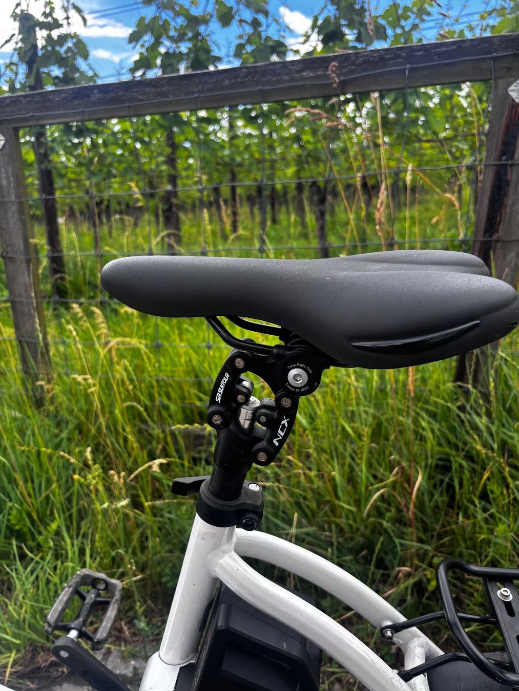 Flyer Biciclette: Flyer Flogo E-Bike 20 Zoll – Difettoso da Uetikon am See venduto da Interceptor05 1