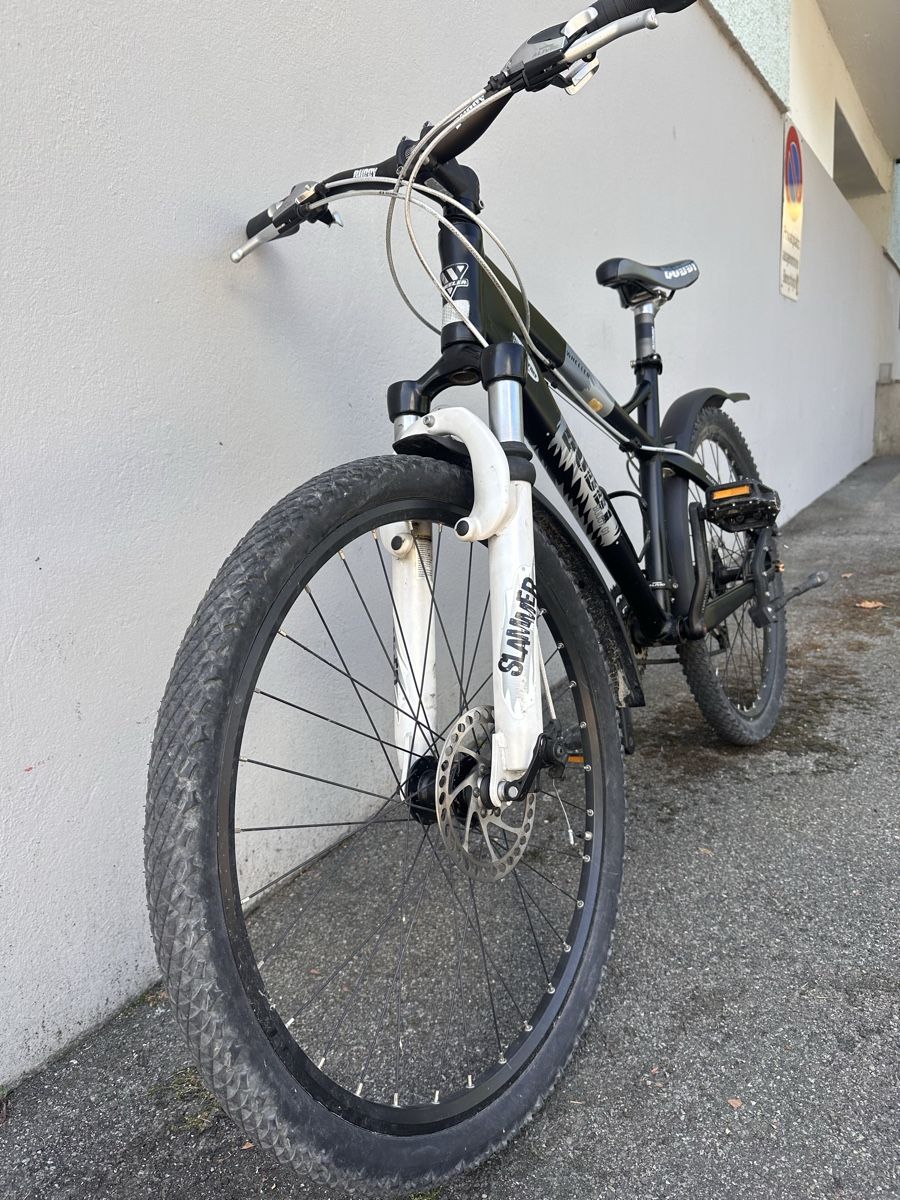 Wheeler Biciclette: Wheeler Mountainbike – Usato da Gossau SG venduto da dan_z9k7 1