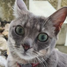 Profile image of Nadia.CH