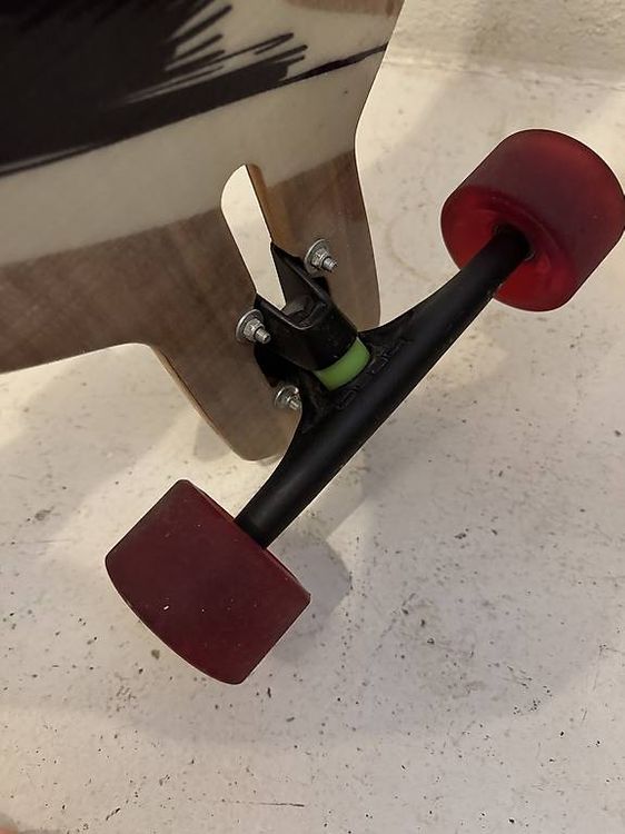 Top Longboard Rolladen ZH 4