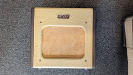 Fender Champion 600