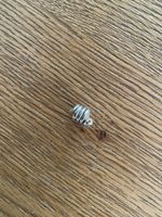 Pandora Charm Schlange