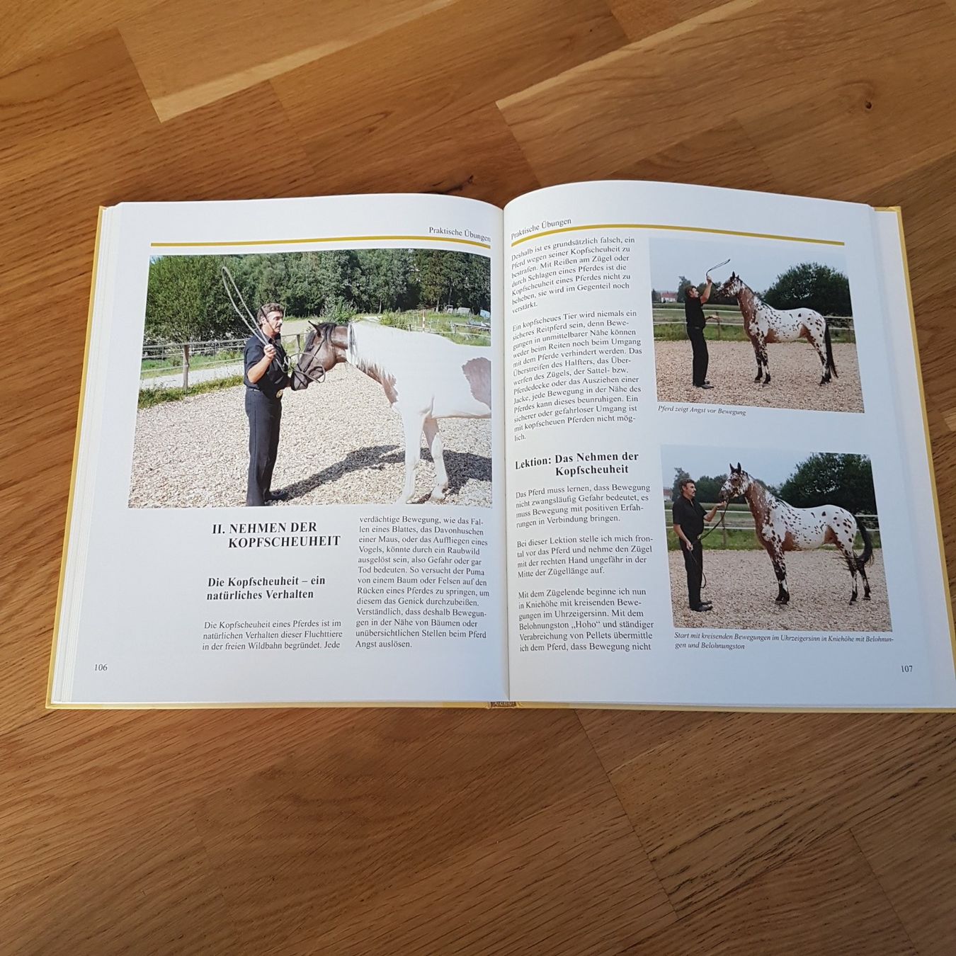 Bücher: Werde zum Leittier deines Pferdes – Gebraucht aus Altishofen von Simba220 1