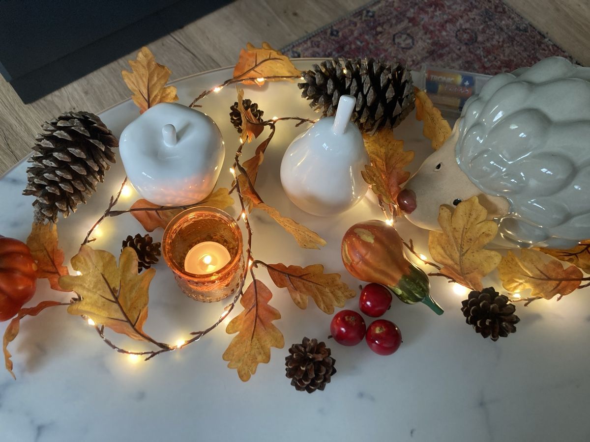 Tutte le decorazioni: Herbst-Deko-Set – Usato da Selzach venduto da SB09