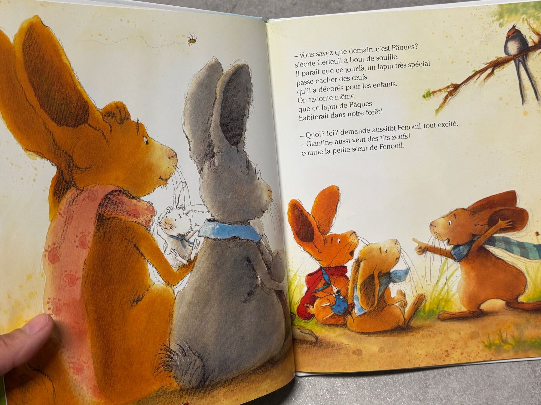 Libri: Livre illustré Joyeuses Pâques Fenouil" 2016 – Usato da Salvenach venduto da gwenwywar 2