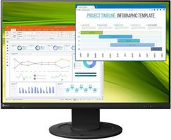 Eizo EV2360 FlexScan, 1920 x 1200 Pixel, 23"