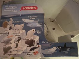 Schleich Tier - Arktiswahl