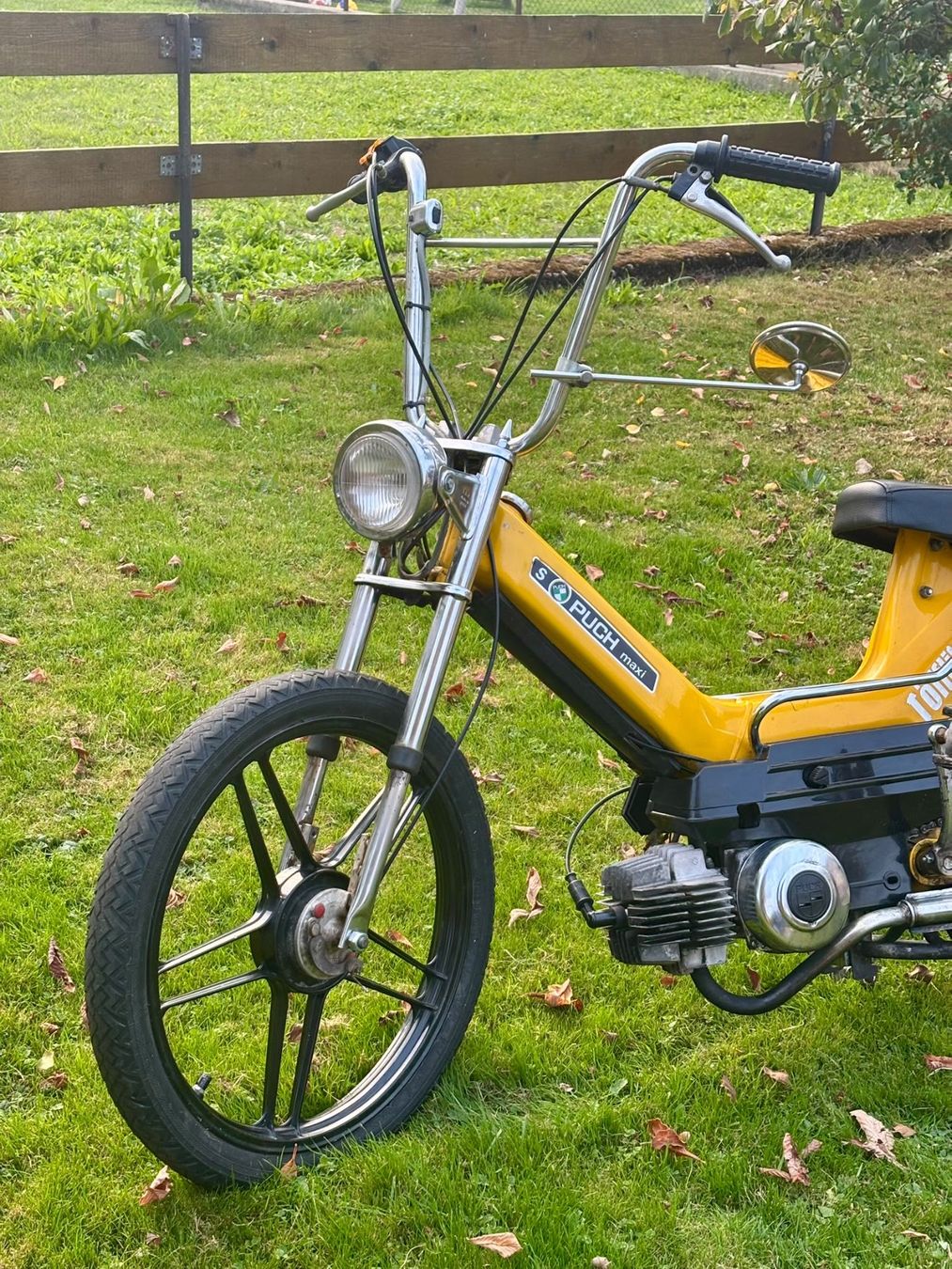 Puch Mofas: Puch Maxi S – Gebraucht aus Schüpfheim von Angelhear4 4