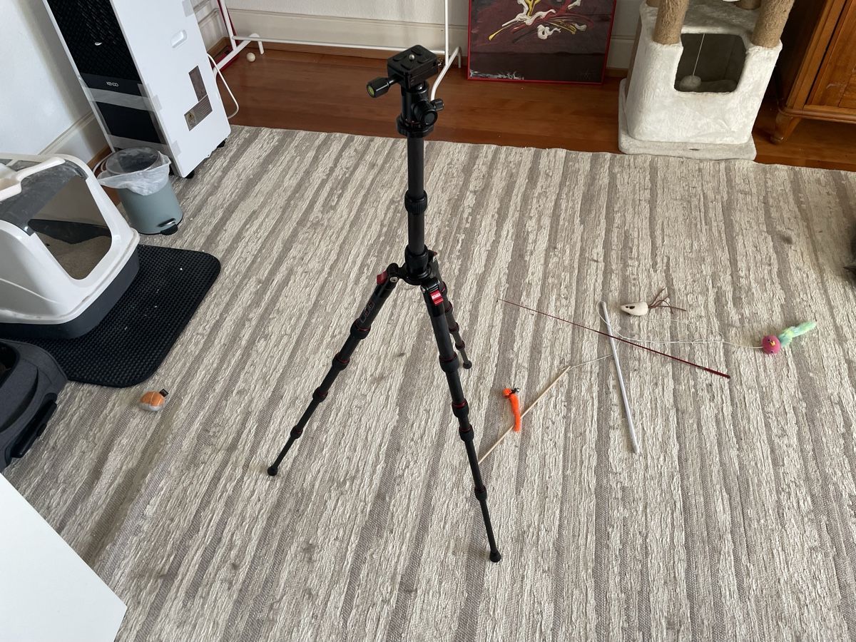 Treppiedi & Teste: Stativ Kugelkopf Redged Foto – Usato da Basel venduto da sshhaahheedd 3