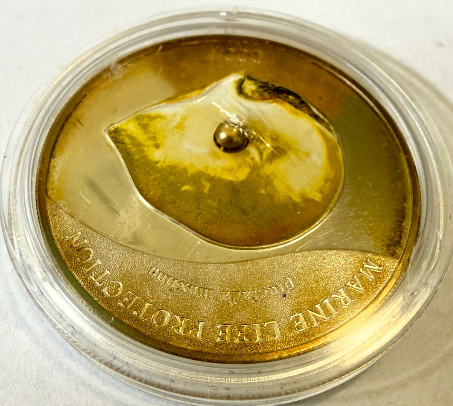 Tutti le monete: Palau 5 Dollars 2007 with capsule UNC Silver coin – Nuovo (secondo la descrizione) da Zürich venduto da Tasmiyah 3