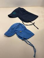 2x Sonnenhut blau