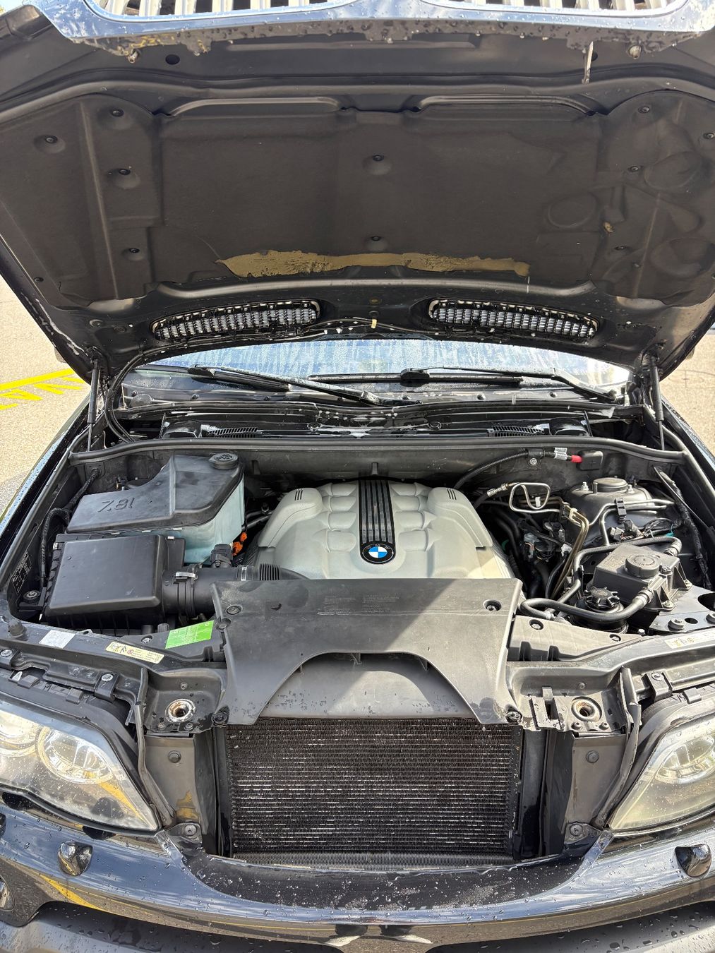 BMW Automobili: X5 V8 Frisch Mfk – Usato da Obfelden venduto da str_bvx2 8