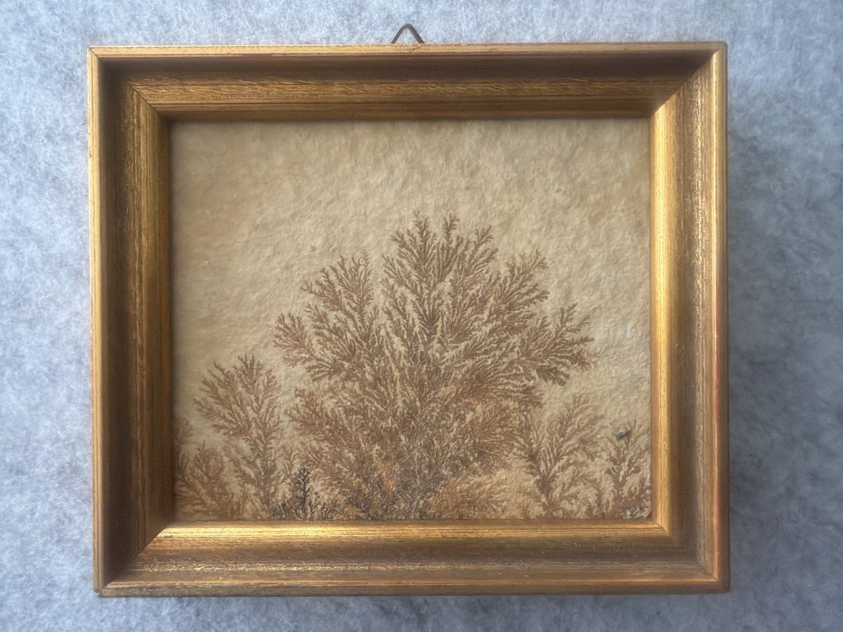 Minerali & Pietre curative: Mineralienbild Dendriten top Zustand – Nuovo (secondo la descrizione) da Fehraltorf venduto da T678