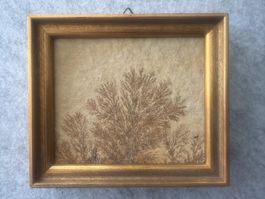 Mineralienbild Dendriten top Zustand