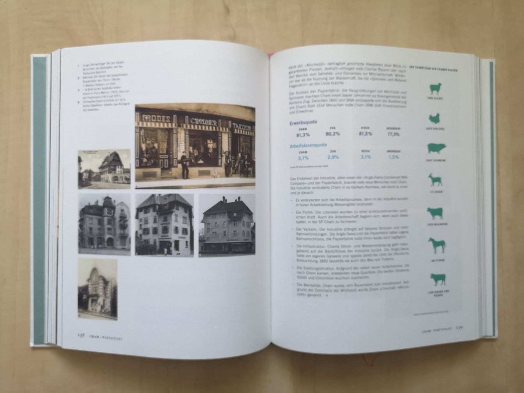Libri: CHAM - Menschen, Geschichten, Landschaften – Nuovo (secondo la descrizione) da Zug venduto da Sunshine_113 1