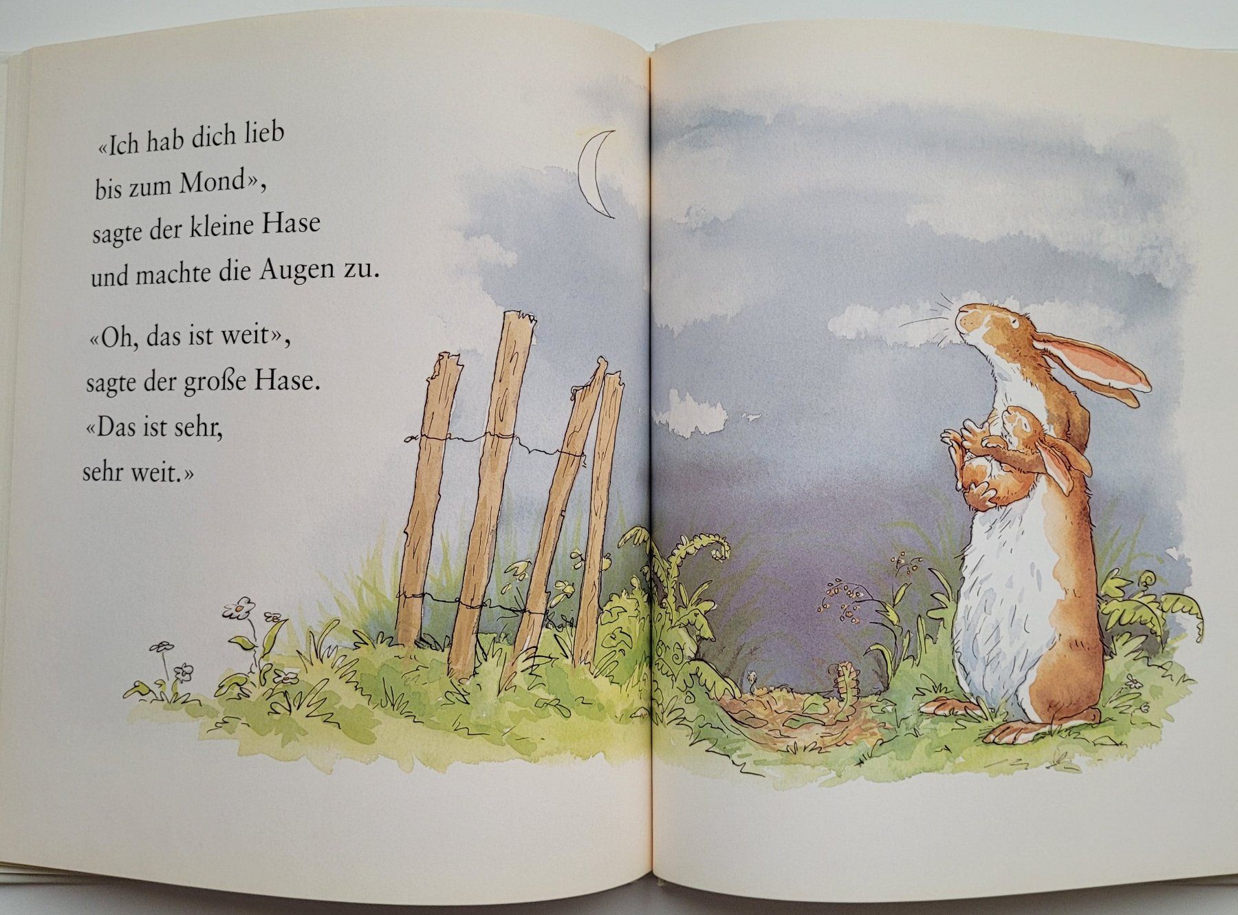 Libri: Weisst du eigentlich, wie lieb ich dich hab? – Usato da Würenlos venduto da Felisha 6