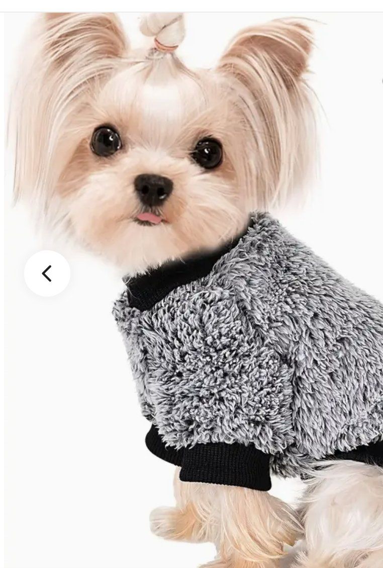 Abbigliamento: pull-over petit chien – Usato da Turbach venduto da mel_q2ry 2