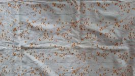 Baumwolljersey Coupon 100x150/ B Ware/ Igel hellblau