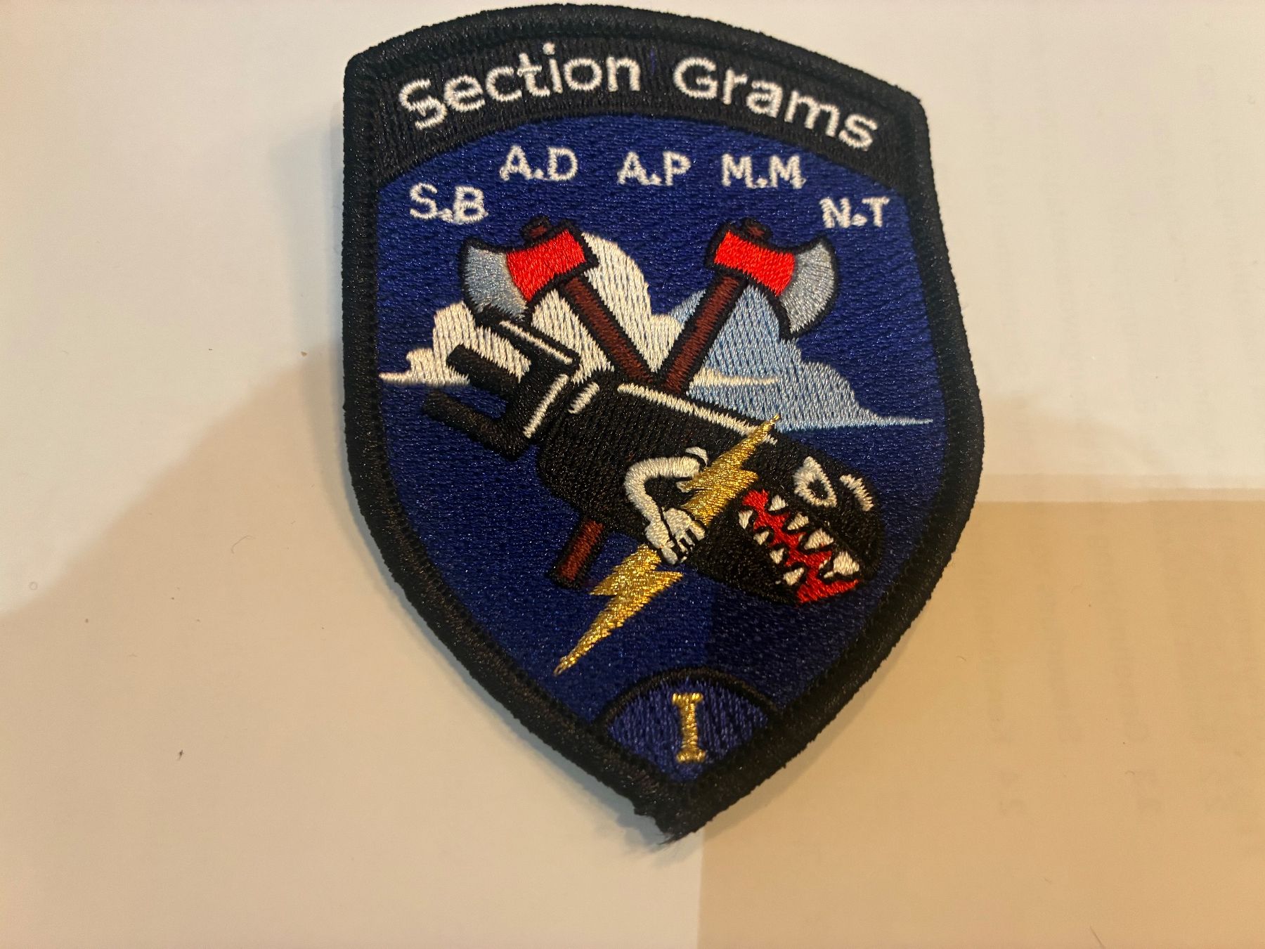 Schweizer Armee Placchette & Badge: Badge Section Grams – Usato da Oberiberg venduto da stab