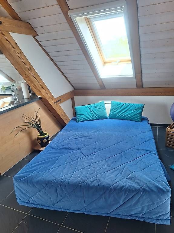 Divani: Bettsofa, ausgeklappt 190×140 cm – Usato da Bühl BE venduto da iischfuchs 2