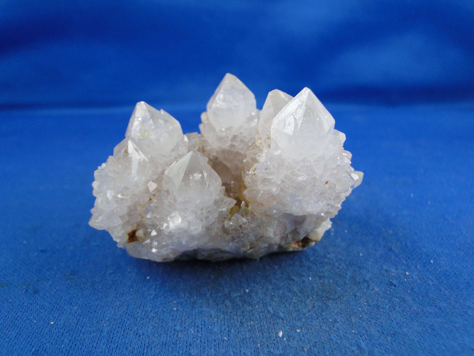 Mineralien & Heilsteine: Quartz var. Amethyst & Kaktus – Neu und originalverpackt aus Schinznach Bad von Demerald 9
