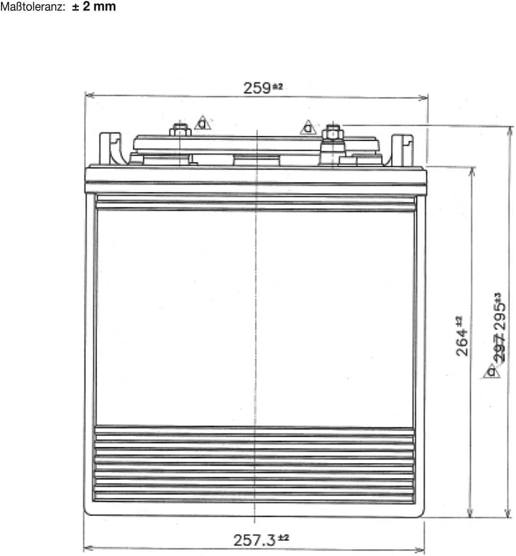 Batterie: BIG E-Drive 6V 260Ah Traktionsbatterie – Nuovo e nell'imballaggio originale da Bottighofen venduto da zaap 3